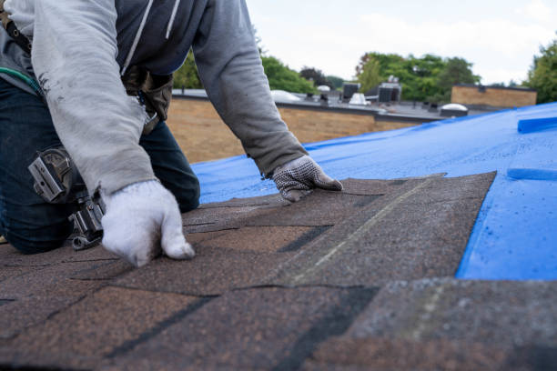 Gutter Installation and Roofing in Baudette, MN