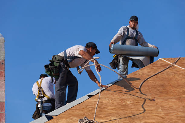 Best New Roof Installation  in Baudette, MN