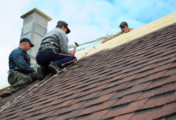 Best Sealant for Roof  in Baudette, MN