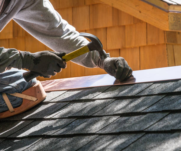Best Roof Repair Services  in Baudette, MN